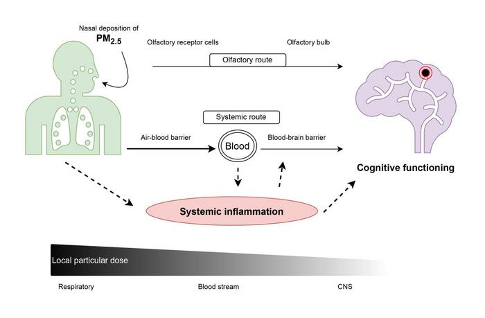 Low-Res_AirPollution_Cognition_Illustration_English_V2-1536x1007-1.jpg